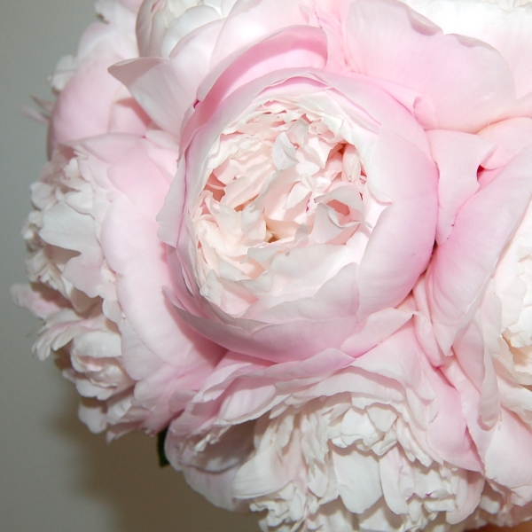 Detail svatebn� kytice