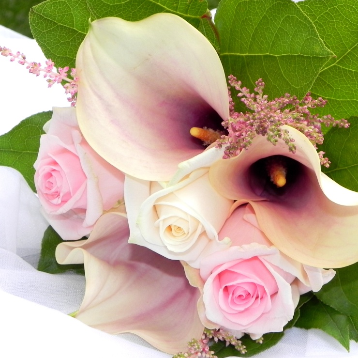 Detaily svatebn�ch kytic