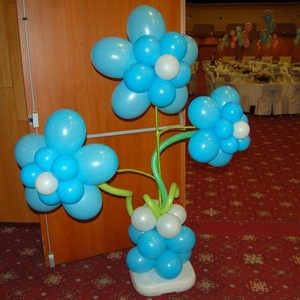 Balonkov� kv�tiny
