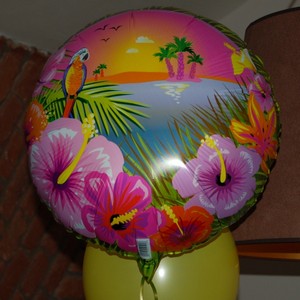 Hawaii bal�nky