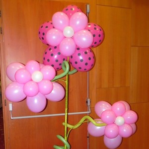 Balonkov� kv�tiny