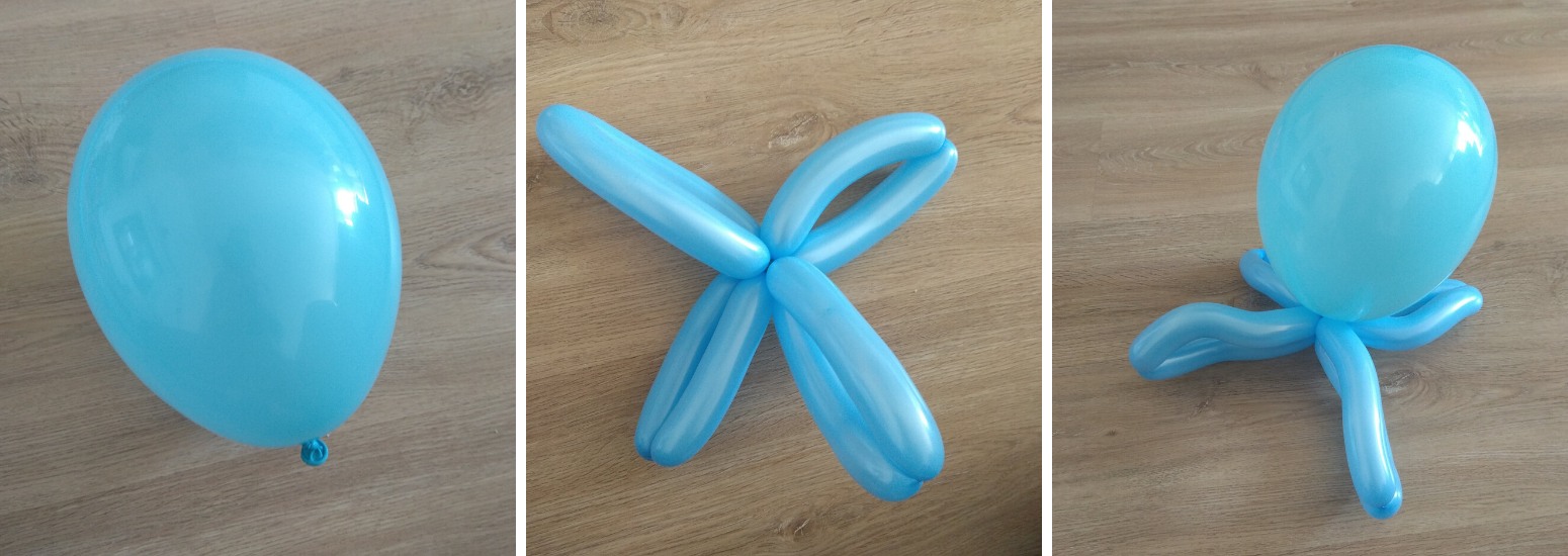 1 Chobotnice
