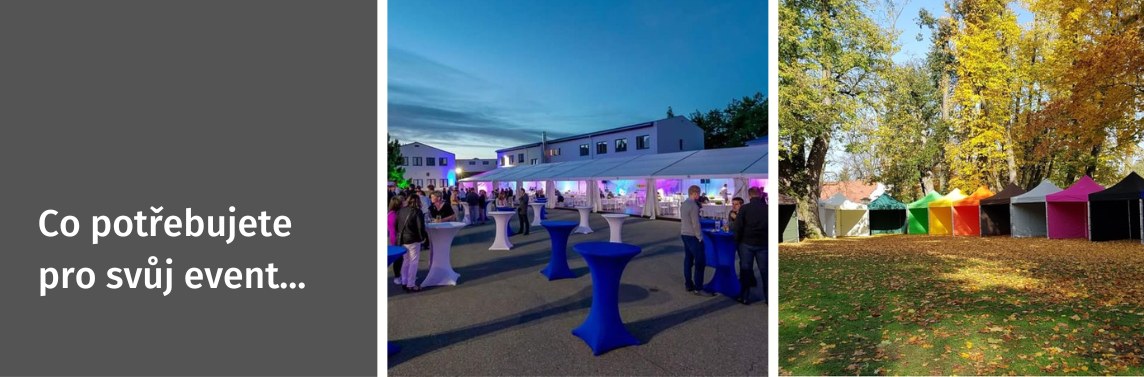 Party_stany