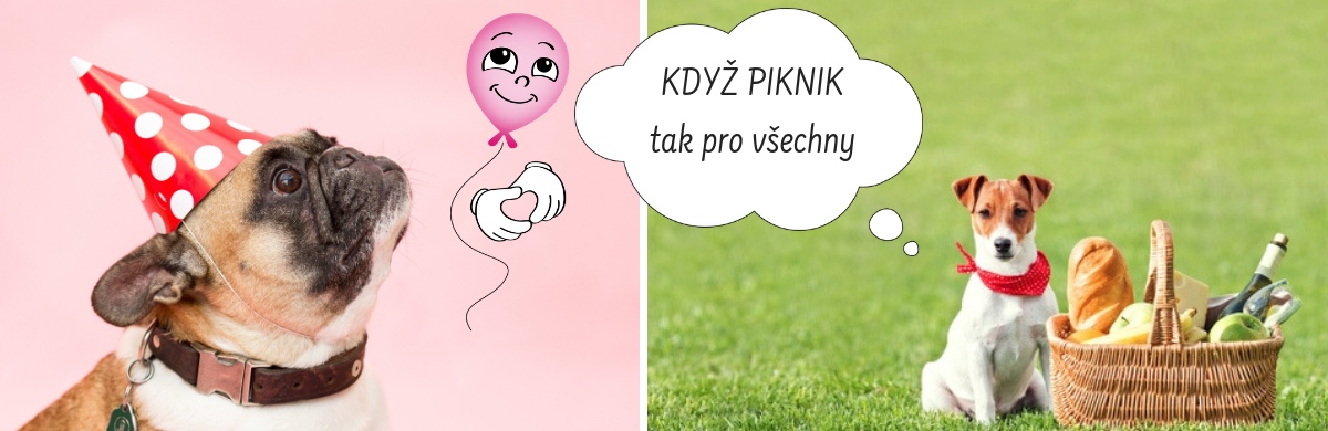 1_piknik
