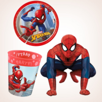 spiderman_party