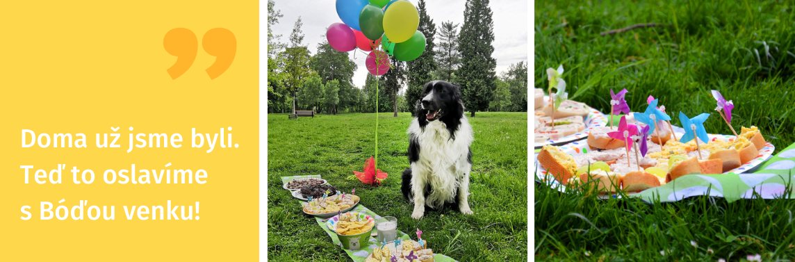 Piknik_party