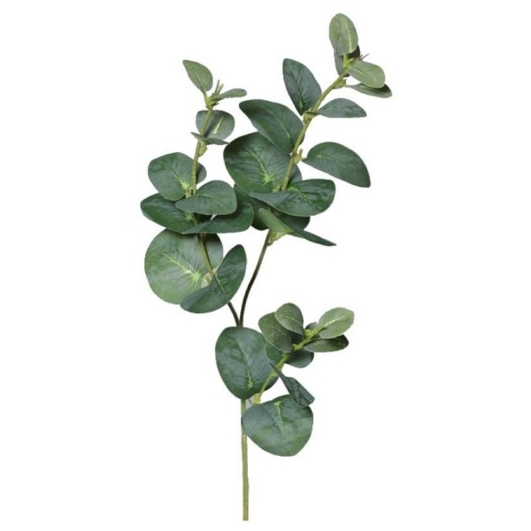 EUCALYPTUS v�tvi�ka 64 cm 1 ks