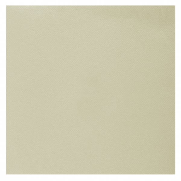 Ubrousky Rainbow Ivory 40 x 40 cm 20 ks