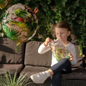 Bal�nek f�liov� Dinosaurus 45 cm