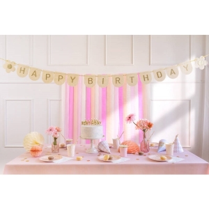 Banner Happy Birthday r��ov� 3m