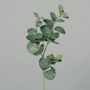 EUCALYPTUS v�tvi�ka 64 cm 1 ks