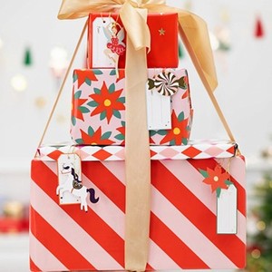 JMENOVKY na d�rky Santa mix 12ks