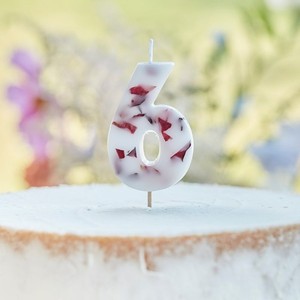 SV��KA ��slice 6 s okv�tn�mi l�stky 9cm