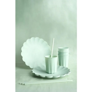 Plastov� br�ka sv�tle zelen� 23 cm 12 ks
