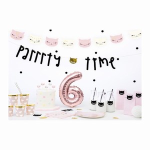 SV��KY dortov� Ko�i�� party