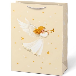 Ta�ka pap�rov� v�no�n� 40x55 cm
